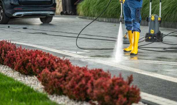 Best Driveway Pressure Washing  in Moundville, AL